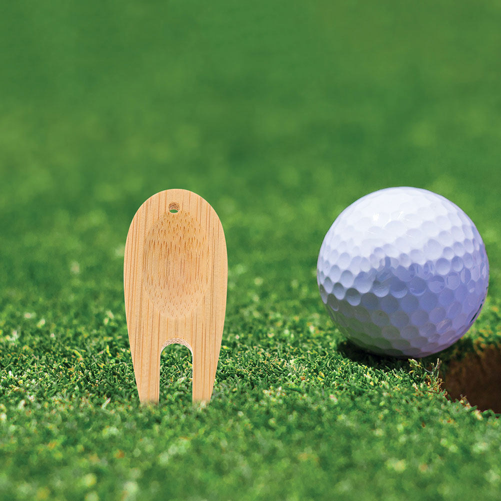 12 stuks houten golf divot-rep - Divot Repair Tool recensie en prijs